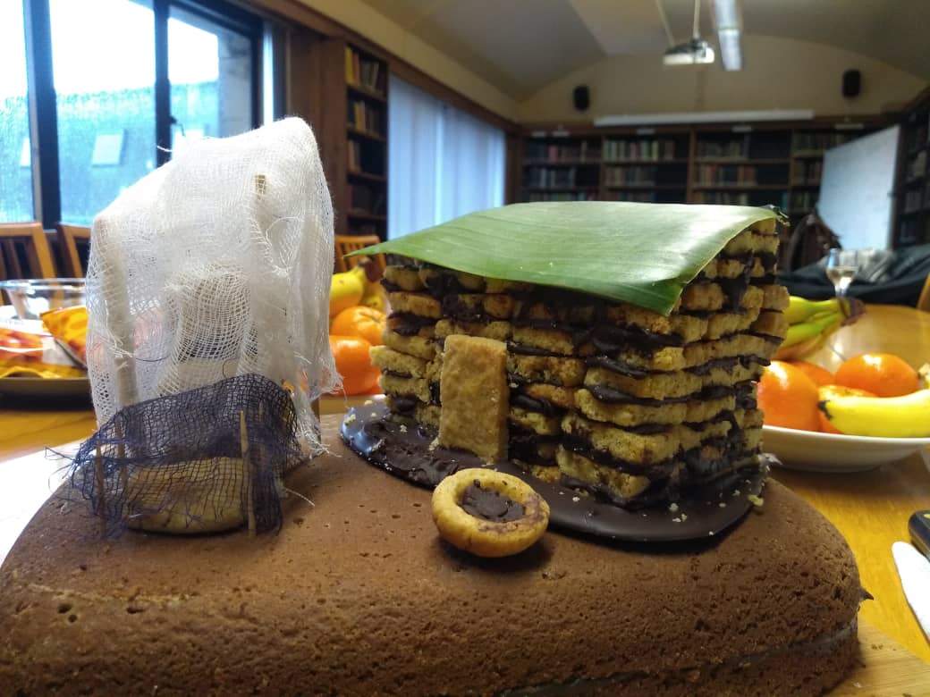 Cake replica of mosquito electrocution trap! courtesy of Dr Luca Nelli 