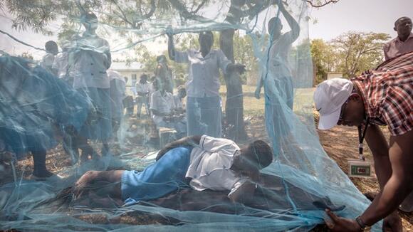 Health workers demonstrate bednets, Courtesy of Sven Torffin, WHO World Malaria Day 2017